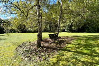 le jardin invite à la rêverie, à l'ombre des grands arbres 