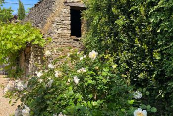 Le jardin a été dessiné par le paysagiste des Jardins que Marqueyssac