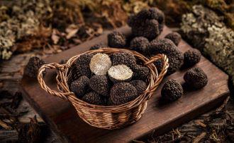 Fête de la truffe de Sarlat 2025